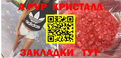 дмт Нальчик