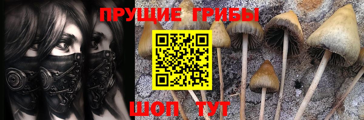 Галлюциногенные грибы GOLDEN TEACHER Шадринск