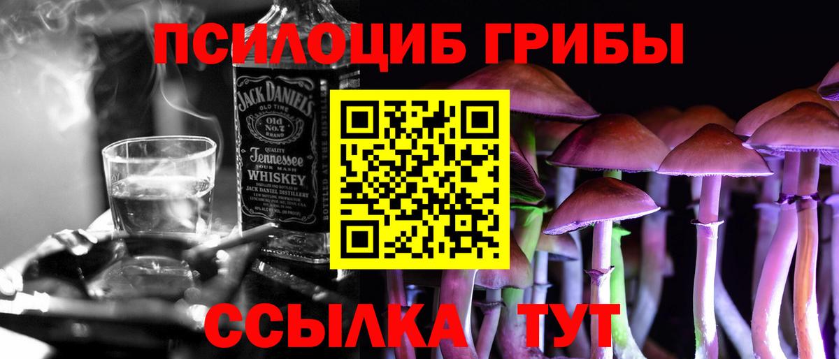 Галлюциногенные грибы Psilocybe  купить   Псилоцибиновые грибы ЛСД  Шадринск  Вход с VPN 